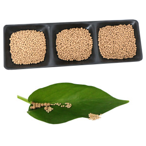 中空玻璃分子篩